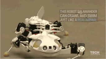 全球首个，人形机器人“天工”实现拟人奔跑！产业缺口巨大，超跌+高增长潜力股出炉