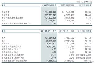 希教国际控股(01765.HK)中期收入20.4亿元 同比增加5.5%