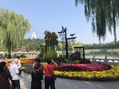 “五一”假期北京市属公园推出28处踏青赏花场所