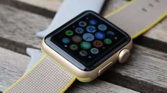 郭明錤：今年发布的苹果Apple WatchUltra3几乎没有硬件升级